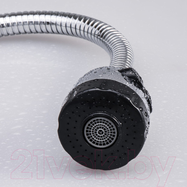 Изображение товара Смеситель Ekko E43731 (с гибким изливом)