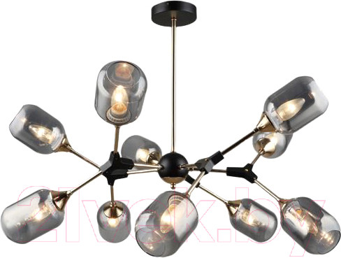 Изображение товара Потолочный светильник Mirastyle SX-4857/10 BK+FG