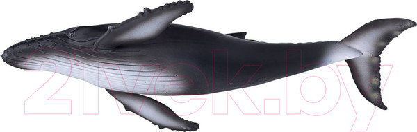 Изображение товара Фигурка коллекционная Konik Горбатый кит / AMS3006