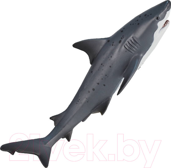 Изображение товара Фигурка коллекционная Konik Тупорылая акула / AMS3009