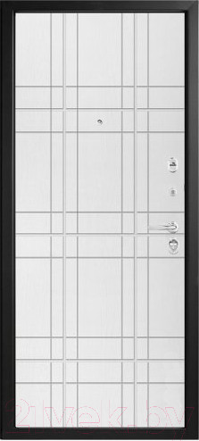 Изображение товара Входная дверь Металюкс М89/1 (96x205, правая)