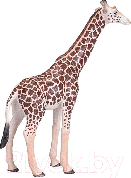 Изображение товара Фигурка коллекционная Konik Жираф Самец / AMW2004