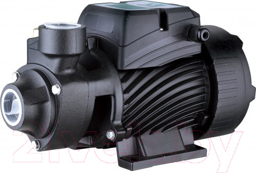 Изображение товара Поверхностный насос Pumpman QB60