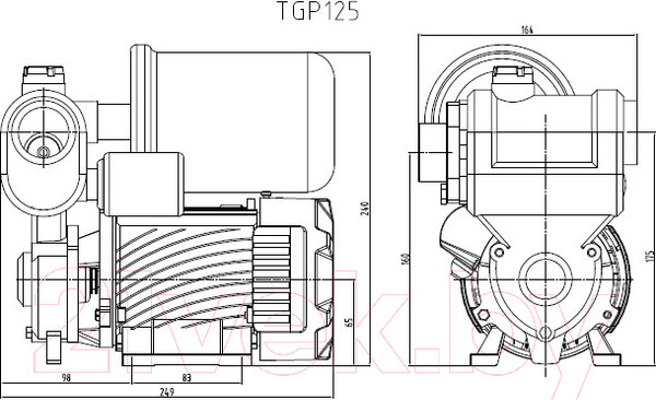 Изображение товара Насосная станция Pumpman TGP125