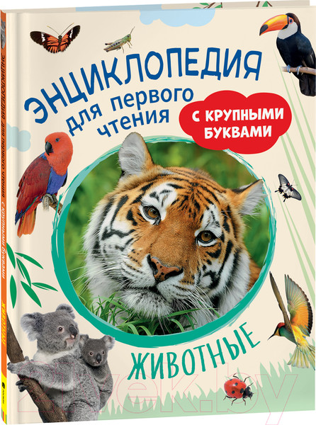 Изображение товара Энциклопедия Росмэн Животные. Для первого чтения с крупными буквами