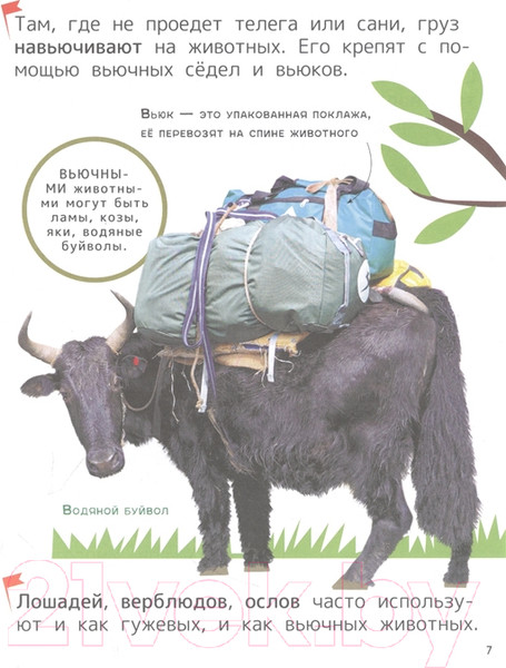 Изображение товара Энциклопедия Росмэн Техника. Для первого чтения с крупными буквами (Клюшник Л., Чернецов-Рождественский С.)