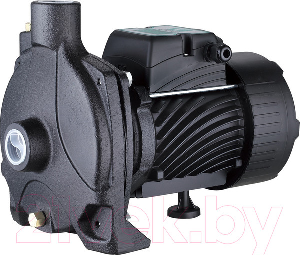 Изображение товара Центробежный насос Pumpman TCP130