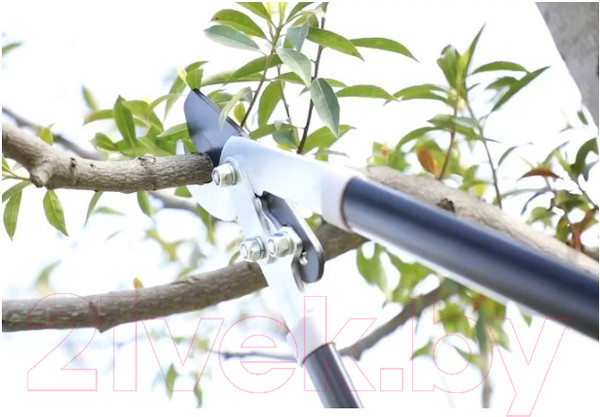 Изображение товара Сучкорез механический TOTAL THT1527608