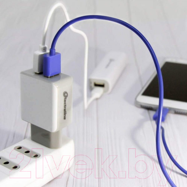 Изображение товара Адаптер питания сетевой Electraline 70062