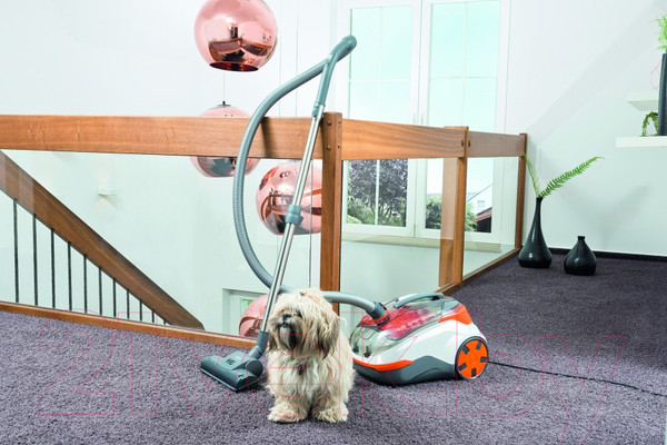 Изображение товара Пылесос Thomas Dry&Aqua-Box Cat&Dog (786554)