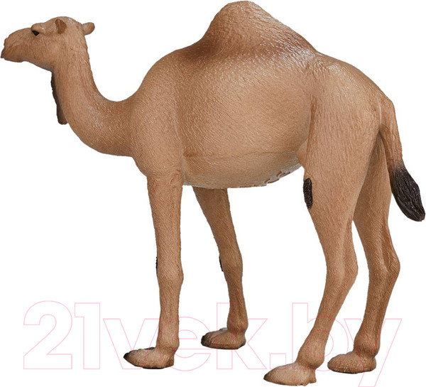 Изображение товара Фигурка коллекционная Konik Одногорбый верблюд / AMW2056