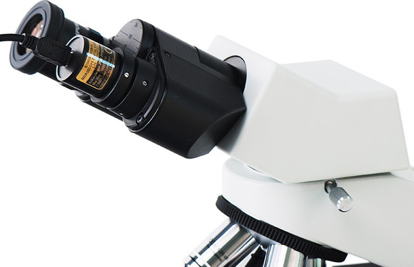 Изображение товара Камера цифровая для микроскопа ToupCam SCMOS02100KPB / 28606