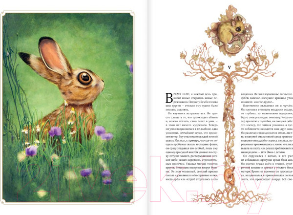 Изображение товара Книга АСТ Бемби (Зальтен Ф., Лакомб Б.)