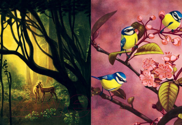 Изображение товара Книга АСТ Бемби (Зальтен Ф., Лакомб Б.)