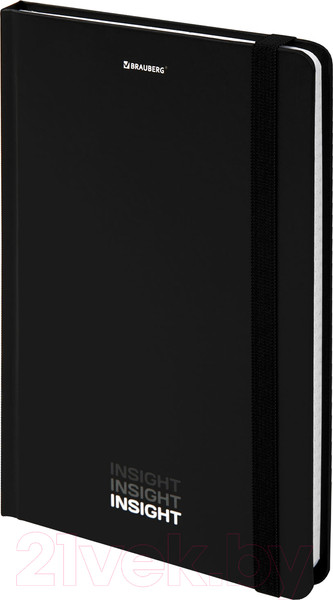 Изображение товара Записная книжка Brauberg Insight / 113723 (96л)