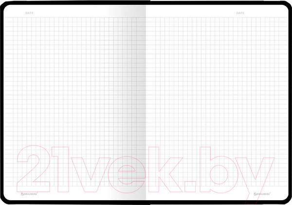 Изображение товара Записная книжка Brauberg Insight / 113723 (96л)