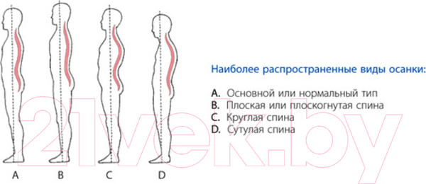 Изображение товара Корректор осанки Польза 0502 (р.2, бежевый)
