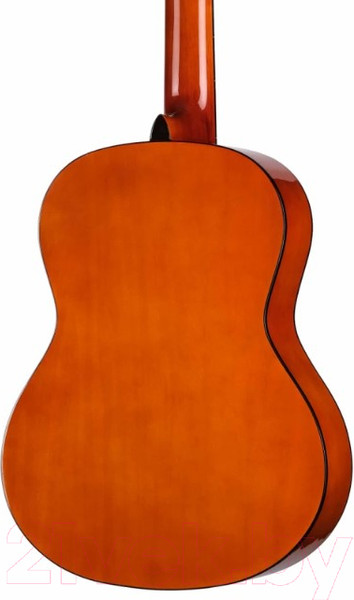 Изображение товара Акустическая гитара Homage LC-3900-N