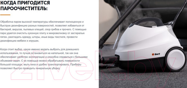 Изображение товара Пароочиститель Bort BDR-2700-R (93412987)