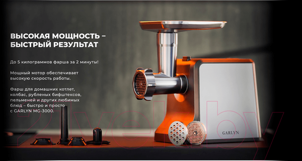 Изображение товара Мясорубка электрическая Garlyn MG-3000