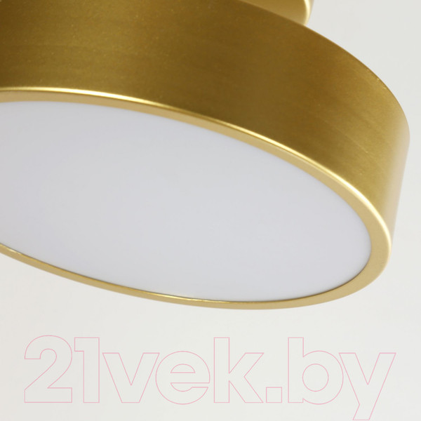 Изображение товара Потолочный светильник FAVOURITE 3059-2P