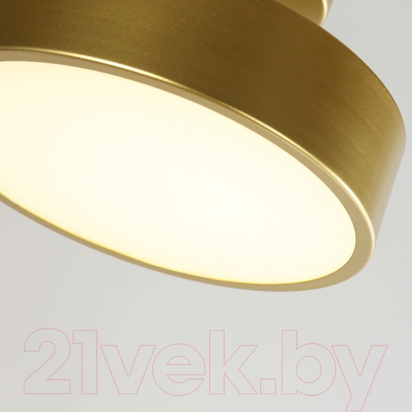 Изображение товара Потолочный светильник FAVOURITE 3059-2P