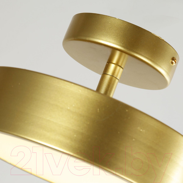 Изображение товара Потолочный светильник FAVOURITE 3059-2P