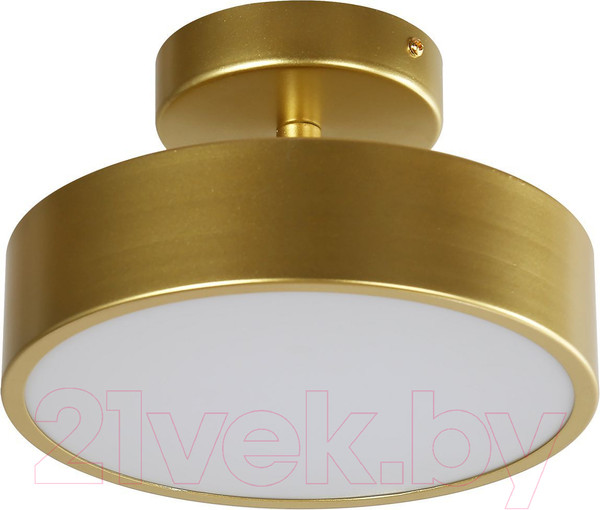 Изображение товара Потолочный светильник FAVOURITE 3059-2P