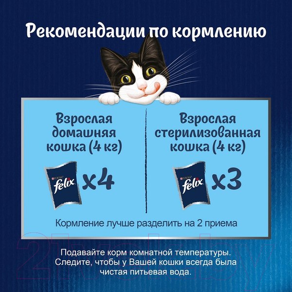 Изображение товара Влажный корм для кошек Felix Аппетитные кусочки с курицей и томатами в желе (75г)