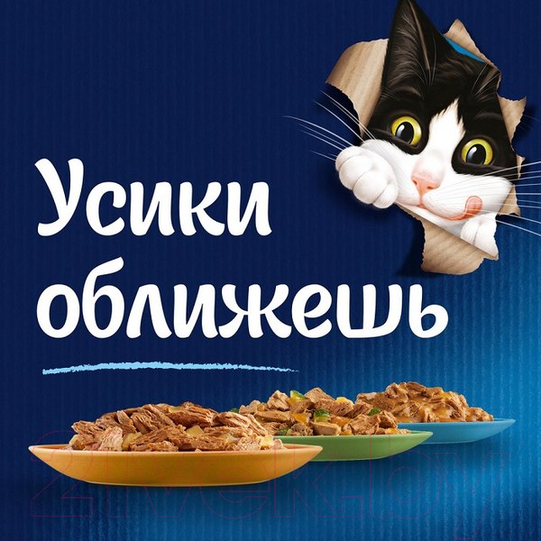 Изображение товара Влажный корм для кошек Felix Аппетитные кусочки с курицей и томатами в желе (75г)