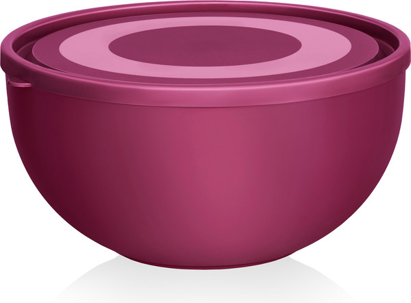 Изображение товара Салатник Эльфпласт EP282 (4л, вишневый)