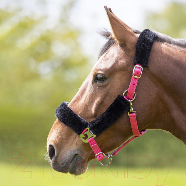 Изображение товара Недоуздок для лошади Shires 4165/PINK/COB (розовый)