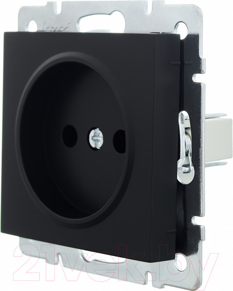 Изображение товара Розетка Lezard Vesna 742-4288-121B