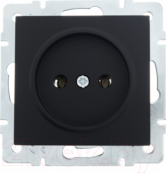 Изображение товара Розетка Lezard Vesna 742-4288-121B