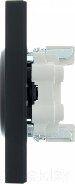 Изображение товара Розетка Lezard Vesna 742-4200-128B