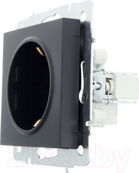 Изображение товара Розетка Lezard Vesna 742-4288-122B