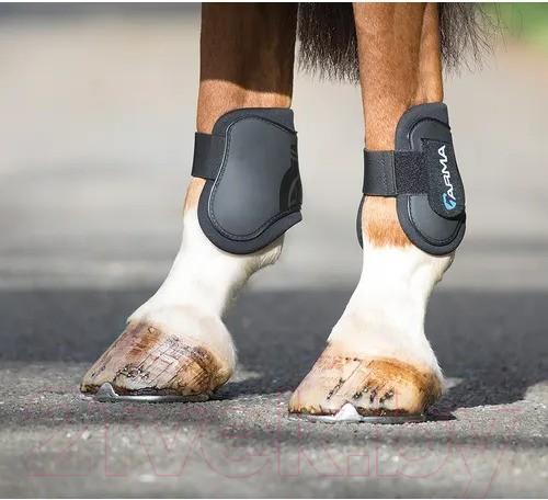 Изображение товара Ногавки для лошади Arma PONY/COB / 1891/BLK/BLK/PNY/COB (черный)