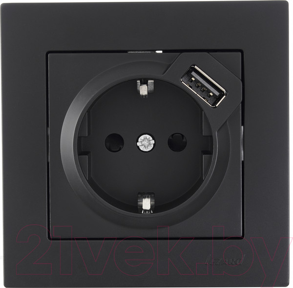 Изображение товара Розетка Lezard Vesna 742-4288-181