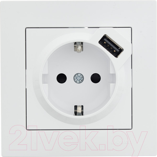Изображение товара Розетка Lezard Vesna 742-0288-181