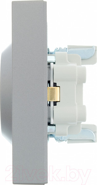 Изображение товара Розетка Lezard Vesna 742-3500-178B