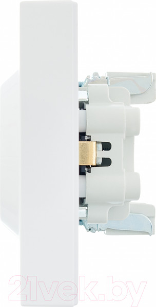 Изображение товара Розетка Lezard Vesna 742-0200-127B