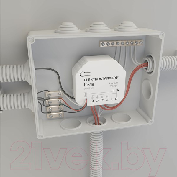 Изображение товара Умное реле Elektrostandard 76005/00