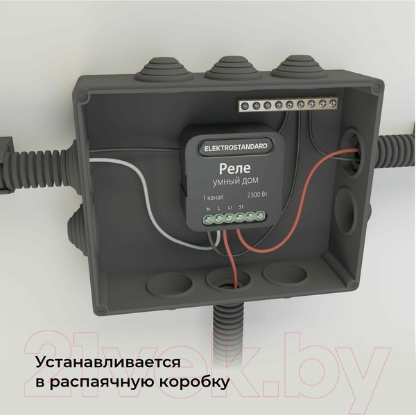 Изображение товара Умное реле Elektrostandard 76006/00 (черный)