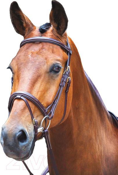 Изображение товара Оголовье для лошади Salisbury Bodenham XFULL / 293/AUSNUT/XFULL (австралийский орех)
