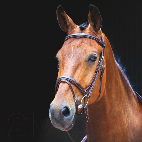 Изображение товара Оголовье для лошади Salisbury Bodenham XFULL / 293/AUSNUT/XFULL (австралийский орех)