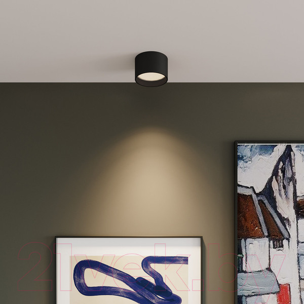 Изображение товара Светильник Elektrostandard Banti 13W 25123/LED (черный)