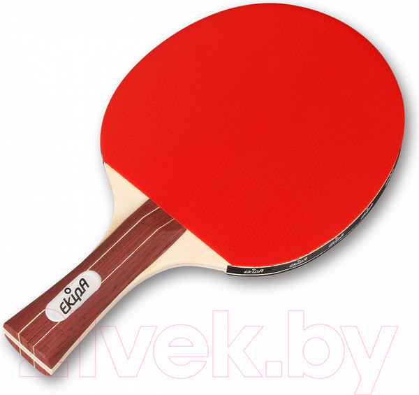 Изображение товара Ракетка для настольного тенниса Ekipa EK02