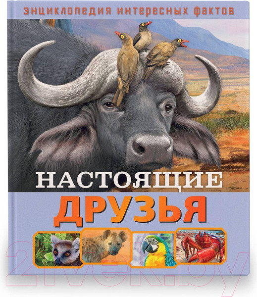 Изображение товара Энциклопедия ND Play Настоящие друзья / 286455