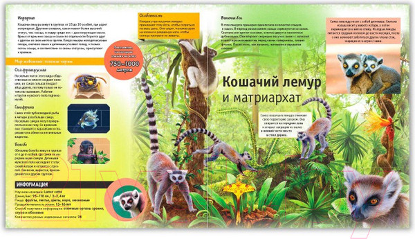 Изображение товара Энциклопедия ND Play Настоящие друзья / 286455