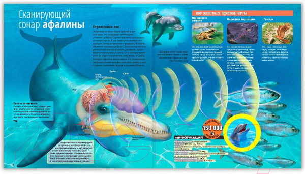 Изображение товара Энциклопедия ND Play Необычные таланты / 286456